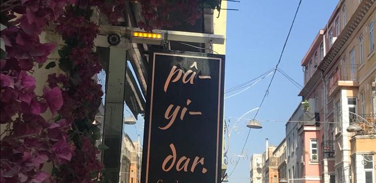 PAYİDAR 01